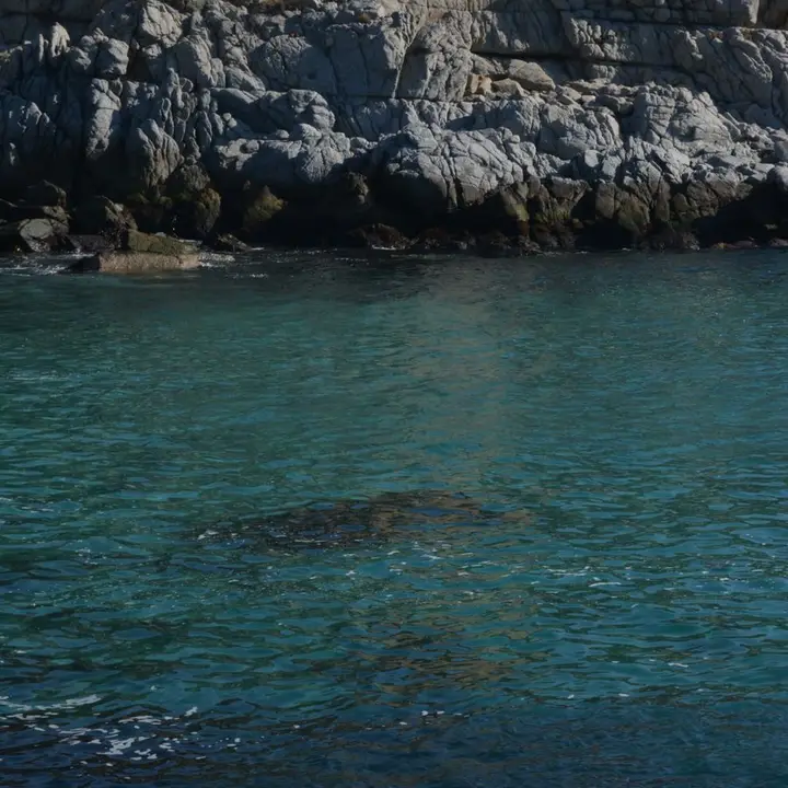 Türkisfarbene Bucht auf Mallorca